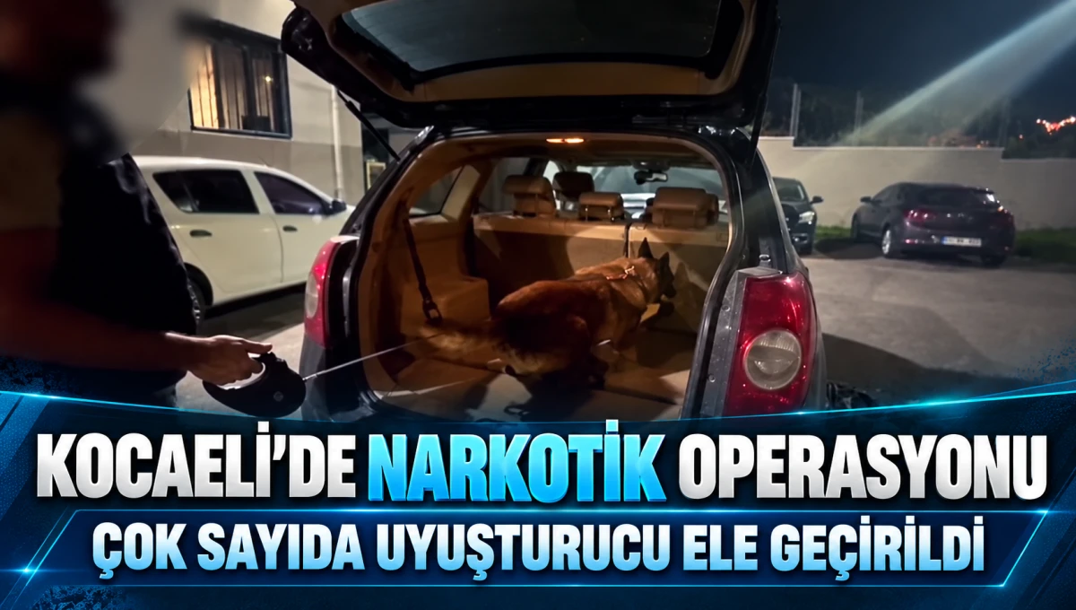 Kocaeli&rsquo;de narkotik operasyonu: &Ccedil;ok sayıda uyuşturucu ele ge&ccedil;irildi