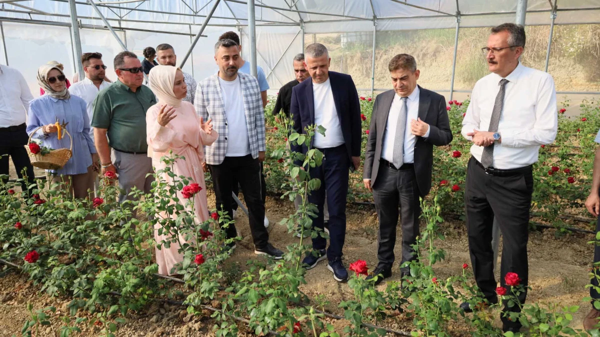 Kocaeli&rsquo;nin ilk g&uuml;l serası kadın elinden