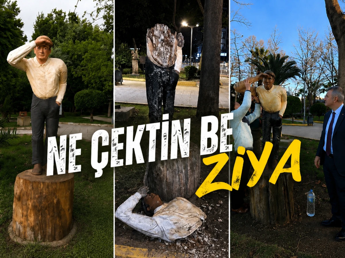 Ne &Ccedil;ektin be Ziya