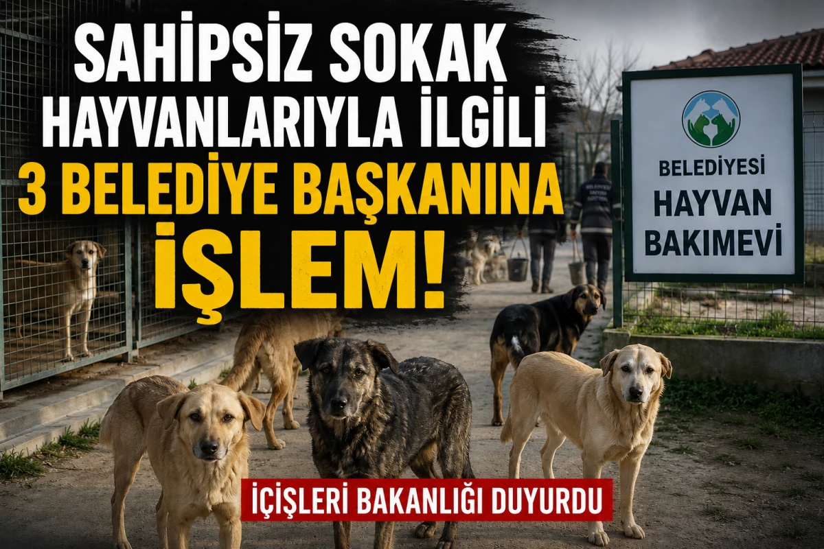 Sahipsiz Sokak Hayvanlarıyla İlgili &Uuml;&ccedil; Belediye Başkanı Hakkında İşlem